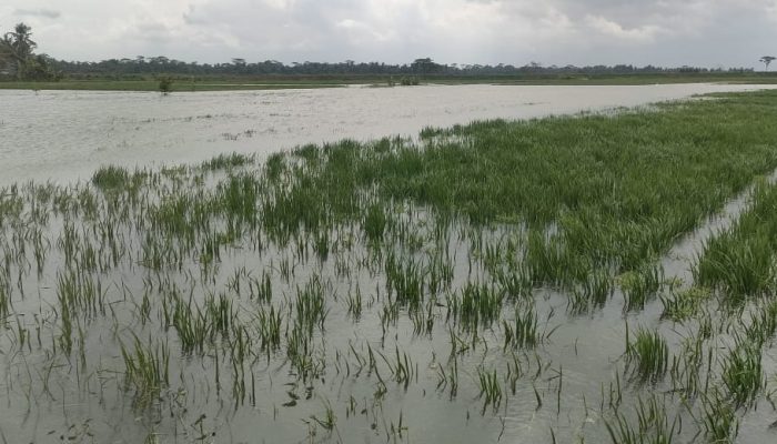 Atasi Banjir, Komisi II DPRD Pangandaran Sarankan Pemda Minta Bantuan Pusat  