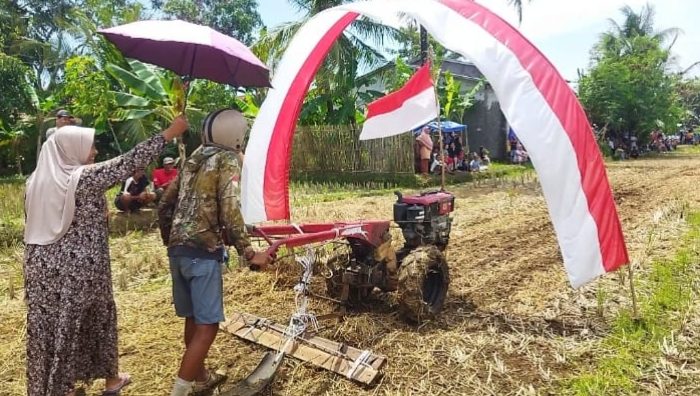 Balap Traktor Warnai Syukuran Panen Raya di Pangandaran