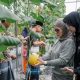 Jogging Pagi, Bupati Pangandaran Petik Langsung Melon dari Kebun Santri di Parigi