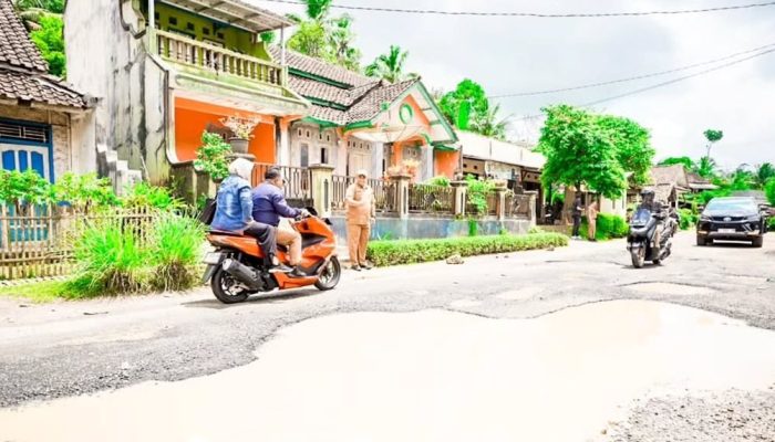 Bupati Citra Pitriyami Tinjau Kondisi Jalan dan Fasilitas Umum di Pangandaran