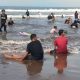 Lonjakan Wisata Lebaran 2026: Hampir 500 Ribu Kunjungan, Pantai Pangandaran Jadi Primadona