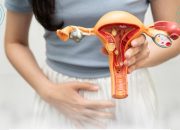 HPV Bisa Picu Kanker pada Perempuan dan Laki-Laki, Imunisasi Jadi Kunci Pencegahan